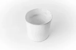 Gobelet Merle Moqueur