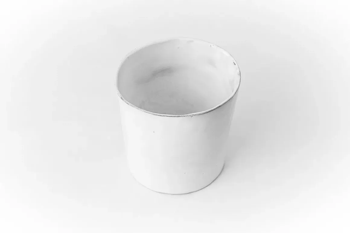 Gobelet Merle Moqueur