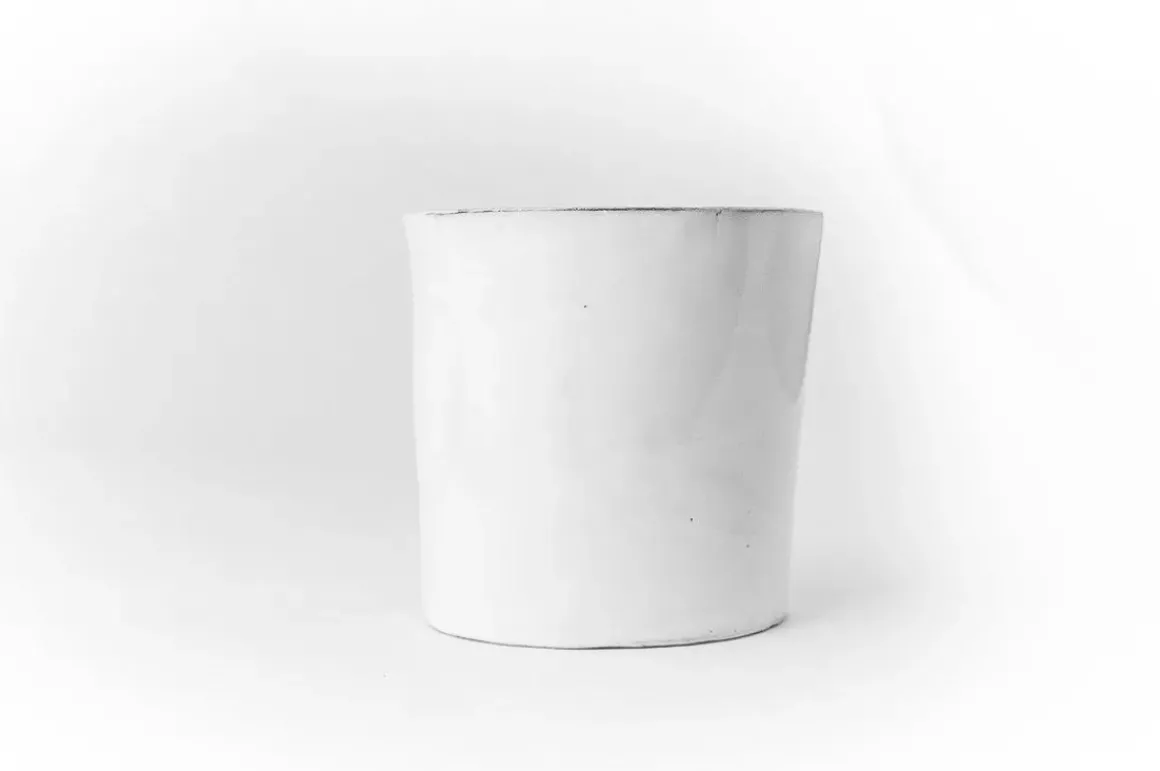 Gobelet Merle Moqueur