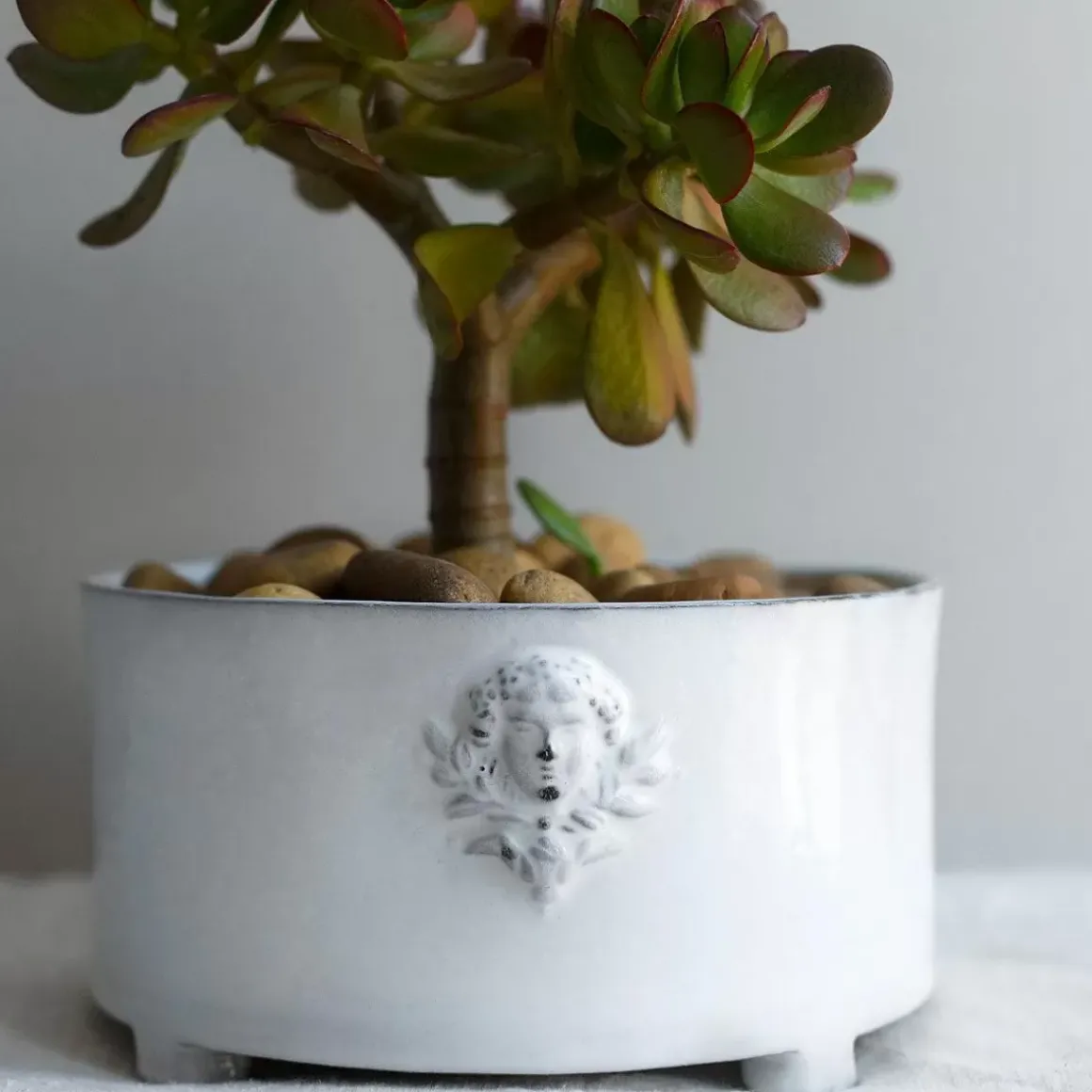 Jardiniere De Mon Jules