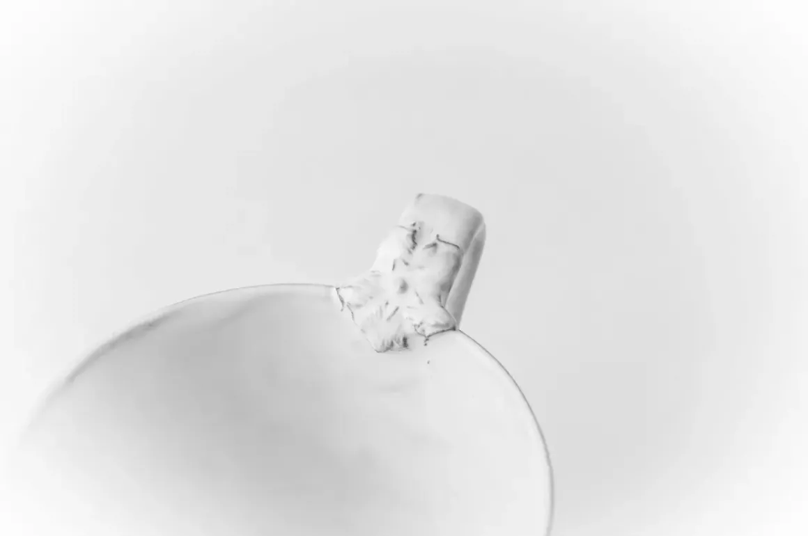 Tasse A Anse Fleur Marie-Antoinette